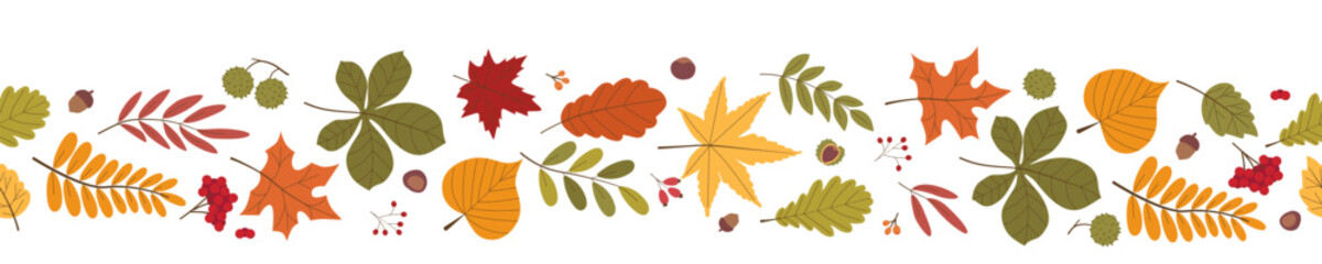 Horizontal seamless vector illustration containing playful floating autumn foliage acorns chestnuts and red rowan berries over a white backdrop. Vector illustration © Elena