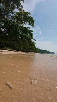 Shoreline With Waves and Green Trees