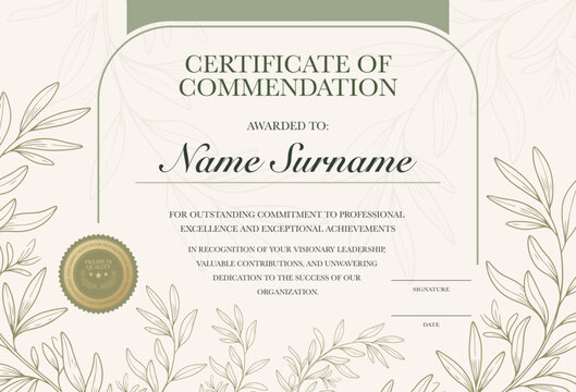 Minimalist botanical certificate of commendation template, elegant green olive leaf line art border background, organic diploma award frame vector for wellness, education or eco business.