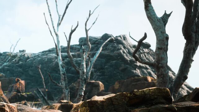 The scene shows bare trees with twisted branches among large rocks in a deserted area. The sky is bright and clear, highlighting the rugged terrain.