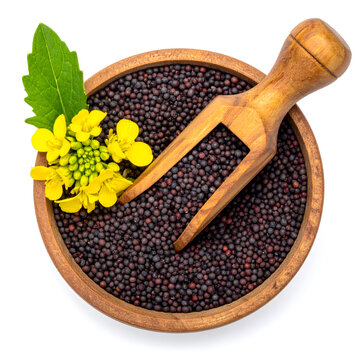 Top view of wooden bowl of black mustard seed with flower on white bacground