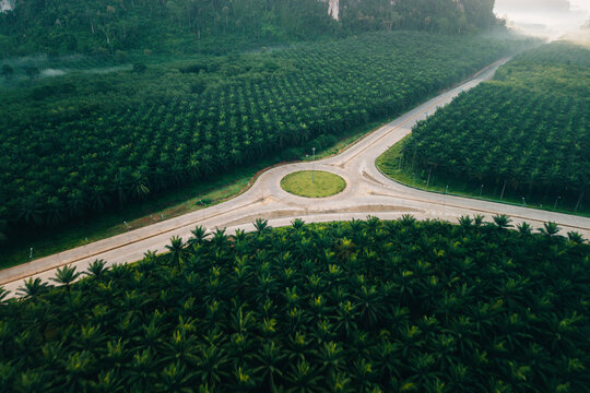 Aerial View of Circular Roundabout Intersection in Green Palm Forest