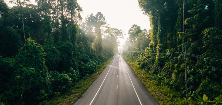 Drone View of Misty Forest Road and Limestone Peaks at Sunrise