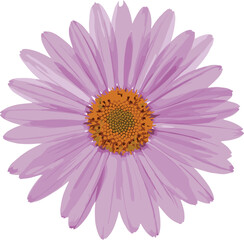 Obraz premium Purple Daisy Flower Icon Flat Design