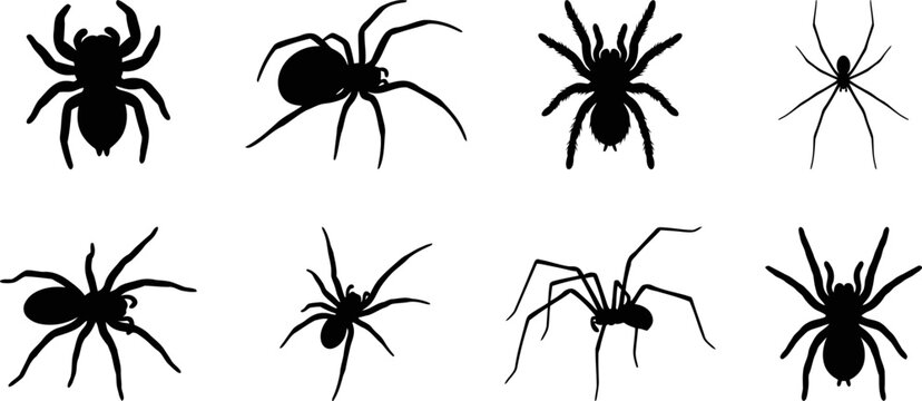Spider Silhouette SVG Bundle Creepy Halloween Arachnid Clipart Collection Black Spider Vector Set Printable PNG EPS DXF For Cricut Sublimation Stickers And DIY Crafts