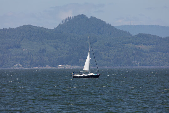 Recreational sailboat cruising on the Columbia River near Astoria, Oregon, USA, from the Pacific Ocean side, with forested shoreline in the background on a sunny summer day