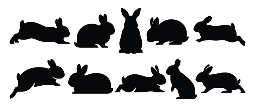 Netherland Dwarf Rabbit Silhouette Vector Set - Small Bunny and Hare Clipart
