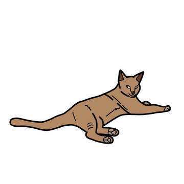 Hand drawn cartoon illustration of a brown cat lying down