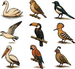 Vintage Bird Icon Set Collection in Retro Flat Vector Style Featuring Songbirds, Tropical Birds and Water Birds vol.2 © DumbCasso