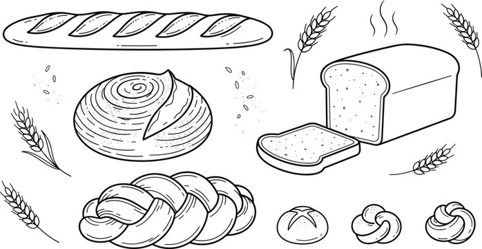 Hand drawn bakery bread set with baguette loaf and wheat spikes vector illustration
