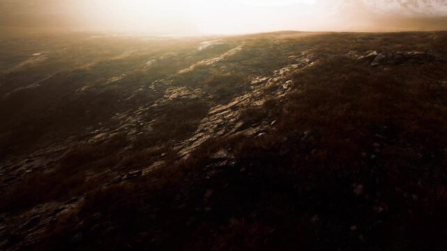 The scene shows a vast area with rough terrain, including rocks and thick grass. The time of day is sunset, creating long shadows and a warm tone. The location appears remote and natural.