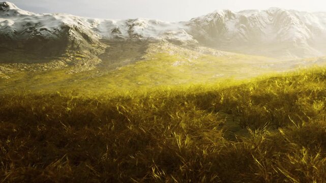 The scene shows a large mountain area with green grass in the foreground. In the background, snow capped peaks are visible. The sun is setting, casting light on the mountains.