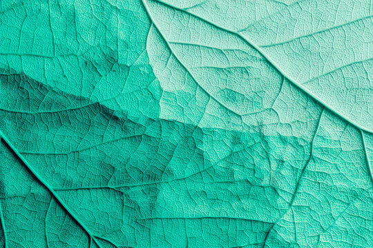 Seamless abstract leaf texture background in teal for organic design wallpaper and nature inspired surface pattern