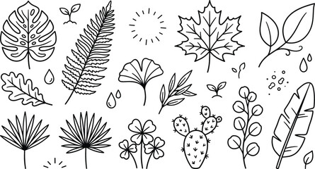 Leaf tropical plant icon set vector illustration line art doodle with monstera fern maple ginkgo palm cactus foliage © Mstshneha