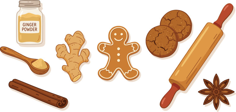 Gingerbread Cookie Baking Vector Element Set with Fresh Ginger Root, Powder, Cinnamon Stick, Anise Star, Rolling Pin, and Sweet Homemade Biscuits