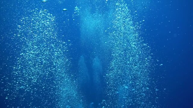 Underwater art. Air bubbles going towards the surface in sunlight in the deep blue sea.