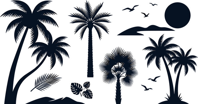 Tropical Palm Tree Silhouette Vector Set Featuring Coconut Palms Fan Palm Monstera Leaves Flying 