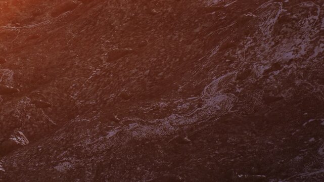 Sunlight shines on a rocky surface. The texture and details of the rock are visible. The scene captures a moment in nature during the late afternoon.