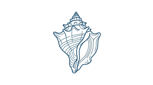 A detailed line art illustration of a spiral conch shell.