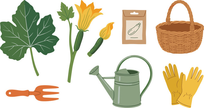 Zucchini Gardening Vector Set Featuring Squash Blossom Flowers Seed Packet Wicker Basket Leaf Watering Can Hand Fork and Yellow Work Gloves