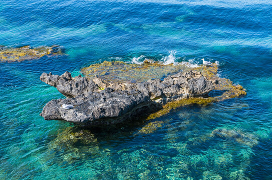 Coastline of Tabarca Island marine reserve in Alicante Spain