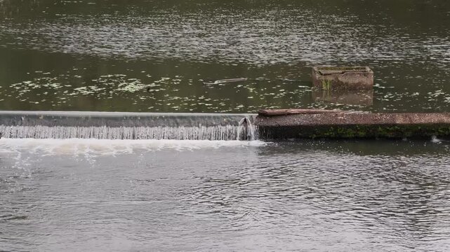River flowing through the check dam in rural village and forest