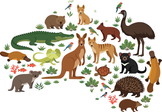 Australian animals map vector illustration set with kangaroo koala emu platypus dingo and tasmanian devil fauna
