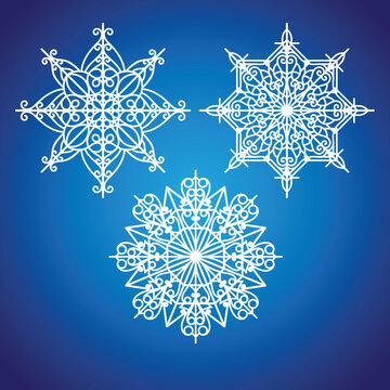 White Snowflake Ornament Collection on Blue Background Vector