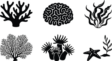 Underwater Coral Reef and Sea Life Silhouette Icon Set for Marine Design Projects © MstBabli