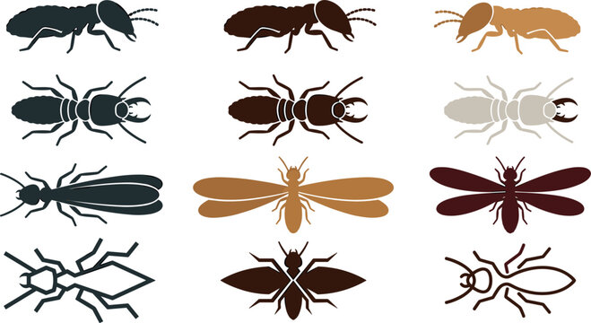 Termite Insect Icon Set with Worker Soldier Alate Swarmer Wings Silhouette and Geometric Line Art Symbols for Pest Control Extermination and Biology Designs
