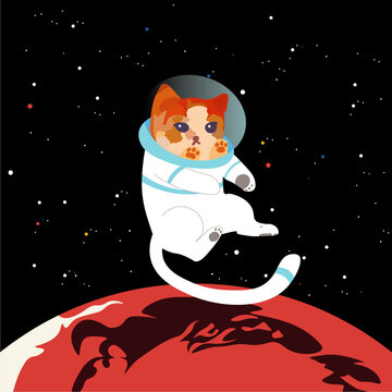 SpaceCat