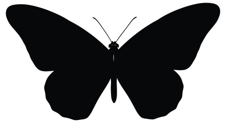 Black butterfly silhouette against a white background a detailed insect outline silhouette © sanu