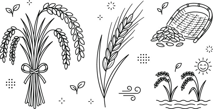 Rice and wheat agriculture vector line art icon set featuring crop sheaves paddy harvesting grains winnowing basket sun.