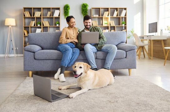 Couple with dog using laptop at home. Smiling partners sit on a sofa as a friendly retriever rests on the carpet near a device in the living room. Warm family teamwork and modern pet lifestyle.