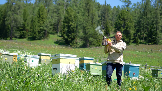 Front view wide landscape portrait of a confident male beekeeper carrying a traditional smoking bee smoker tool through an Altai field.