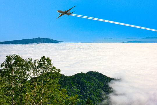 真っ白い雲海上を飛行する航空機合成
