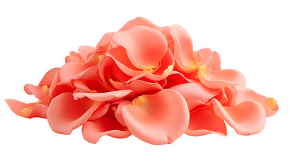 Fototapeta premium ia generated front view of a pile of soft pink rose petals scattered and isolated on a solid white background. Romantic floral concept with delicate textures and gentle lighting.