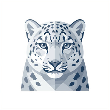 Snow leopard face close up.