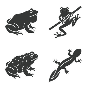 Black silhouettes of various amphibians.