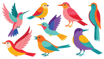 Fototapeta premium Colorful Tropical Birds Collection Flat Vector Illustration