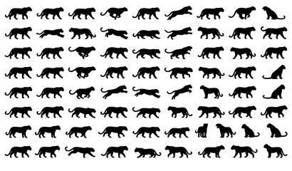 Black Leopard Vector Silhouette Collection with Elegant Wild Cat Wildlife Icons © MstMomena