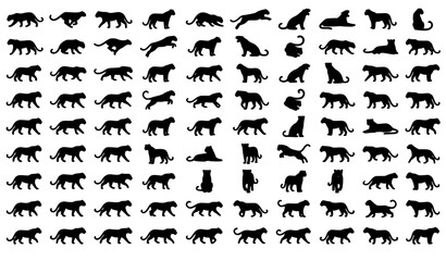 Leopard Silhouette Vector Set with Sleek Wild Cat Poses for Safari and Logo Designs © MstMomena