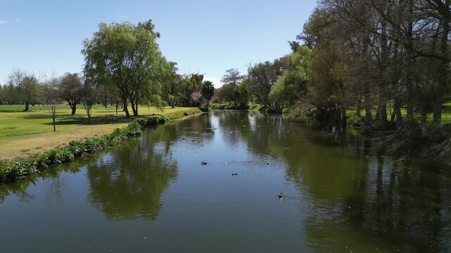 Low aerial view along a tree lined canal with ducks swimming on calm reflective water in a landscaped park in central Mexico.