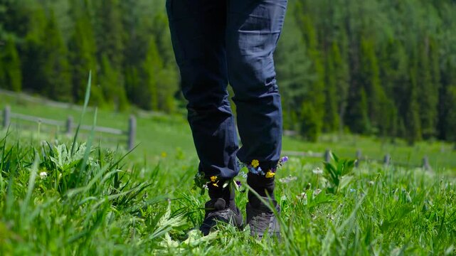 A playful close-up shot of a hiker's legs dancing on a green meadow with wild mountain flowers tucked inside black socks.