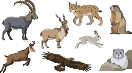 Mountain Wildlife Animal Vector Set Featuring Alpine Ibex, Markhor, Lynx, Marmot, Chamois, Hare, Golden Eagle, and Pika Illustration Collection © MstSuborna