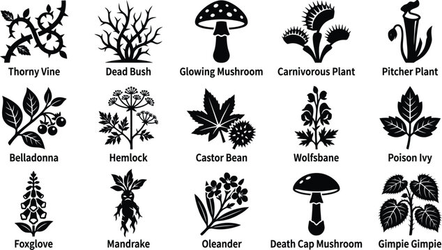 Set of various plant silhouettes isolated on transparent background mystical and dangerous herbs.
