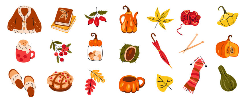 Collection of cozy autumn vector elements. Fall leaves, warm sweater, mushrooms, pumpkins, tea, pie, books