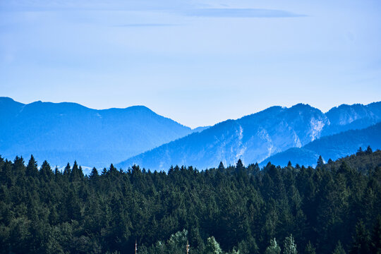 Layers of blue mountains and dense forest