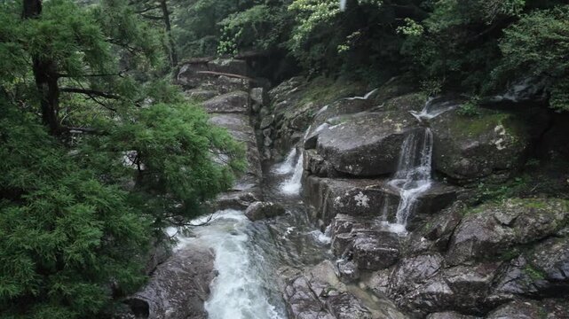 Raindrops fall in slow motion over rushing river and cascades in forest - Yakushima, Japan