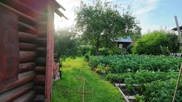 Private garden plot with fruit trees and a vegetable garden